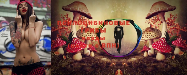 ECSTASY Балабаново